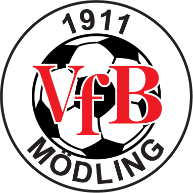 VfB Medling - logo, emblem of the club