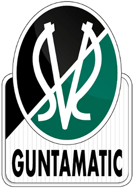 SV Ried - logo, emblem of the club